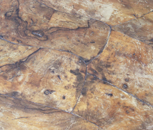 Carica l'immagine nel visualizzatore di Gallery, Antico Tavolino in stile barocchetto XIX Secolo